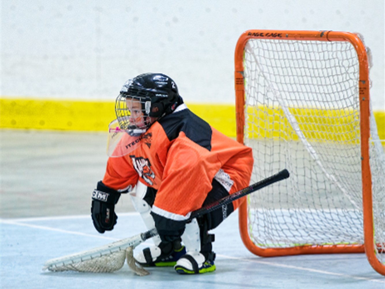 Summer Lacrosse 2025: Grades K-2