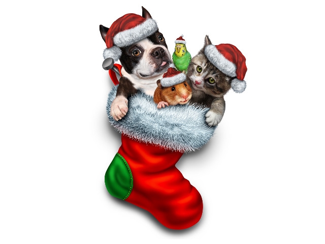 Oswego County Humane Society Home for the Holidays Goes Virtual