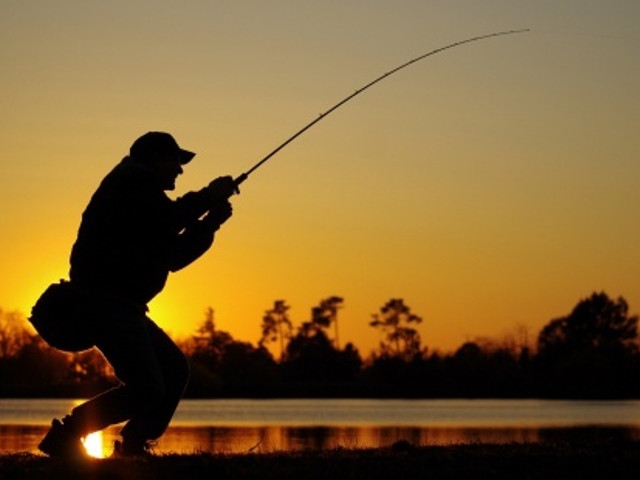 DEC Announces 'State of Lake Ontario Fisheries' Virtual Meeting and Video Series