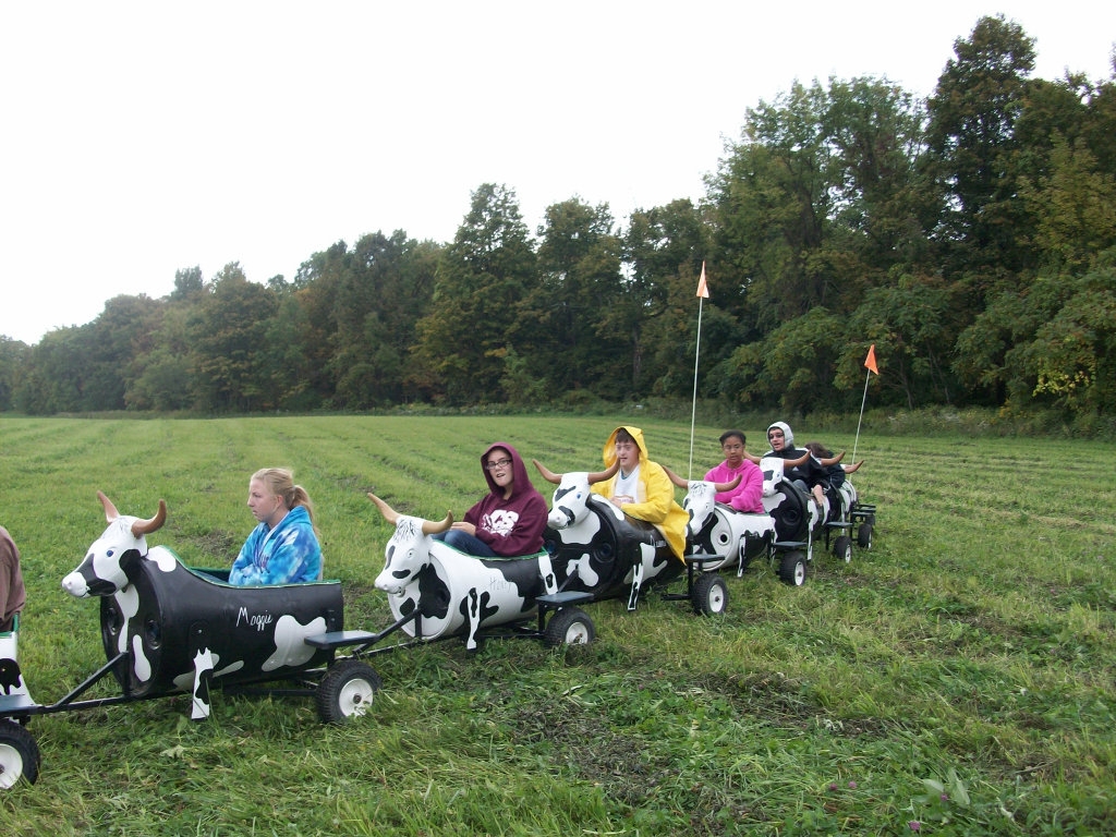 Grant from Oswego County Autism Task Force sends ARISE youth to Wolf Oak Acres 