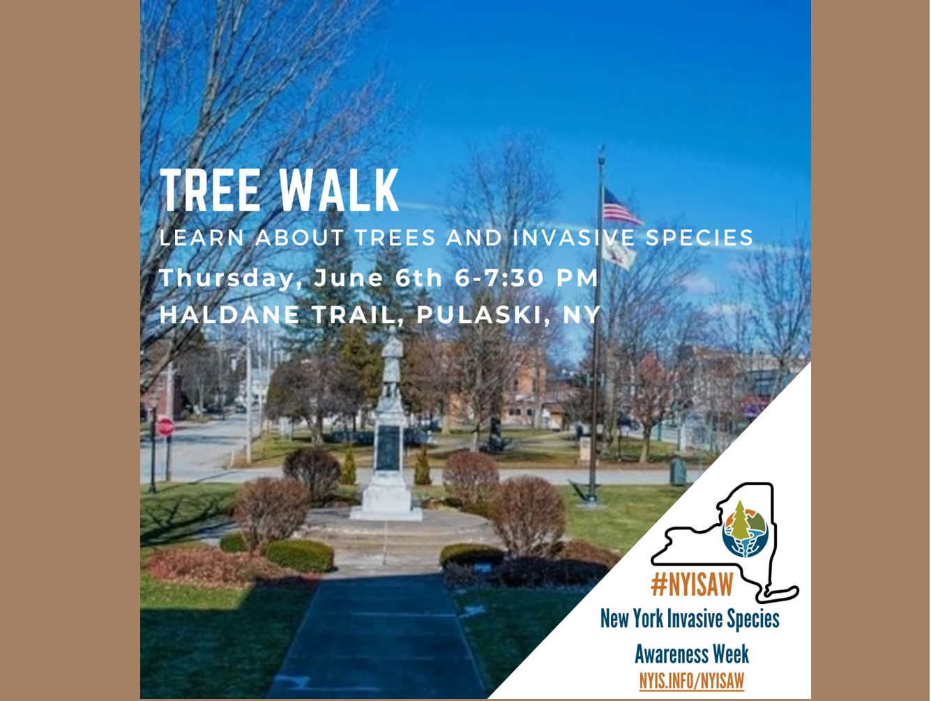 Community Members Are Invited to Join a Guided Walk to Learn about Invasive Species in Village of Pulaski