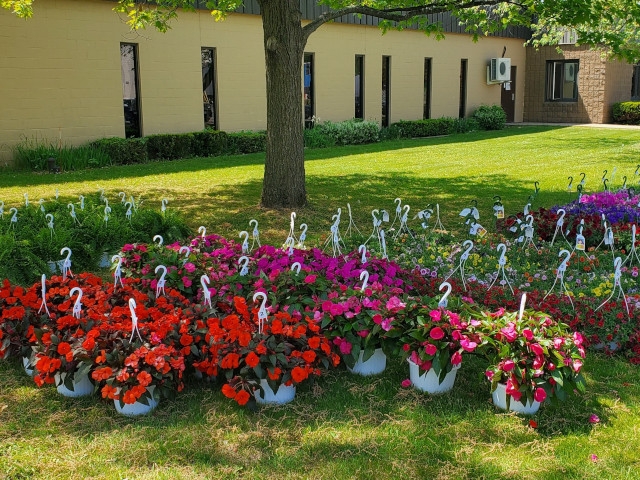 Oswego Industries Partnering With Oliver Paine Greenhouses for Hanging Basket Sale