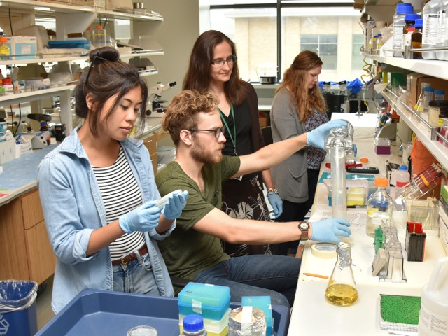 NSF Grant Supports Oswego Professor’s, Undergraduates’ Study of Cell Movement