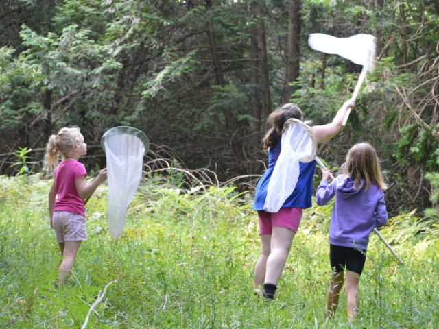 Summer 2018 Nature Explorations at the Amboy 4-H Environmental Education Center