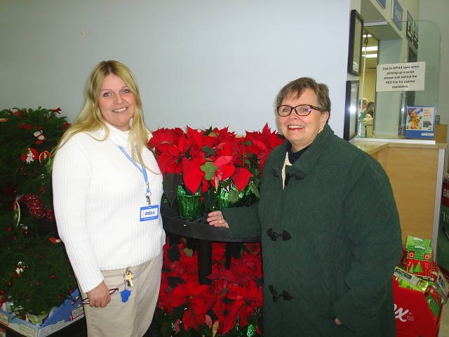 Beautiful Poinsettias Donated to the  Richardson-Bates House Museum for Holiday Decor