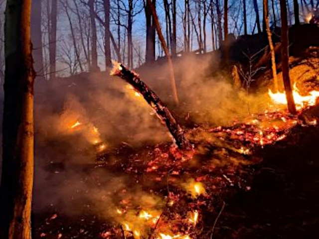 DEC Reminds New Yorkers: Annual Residential Brush Burning Prohibition in Effect Through May 14