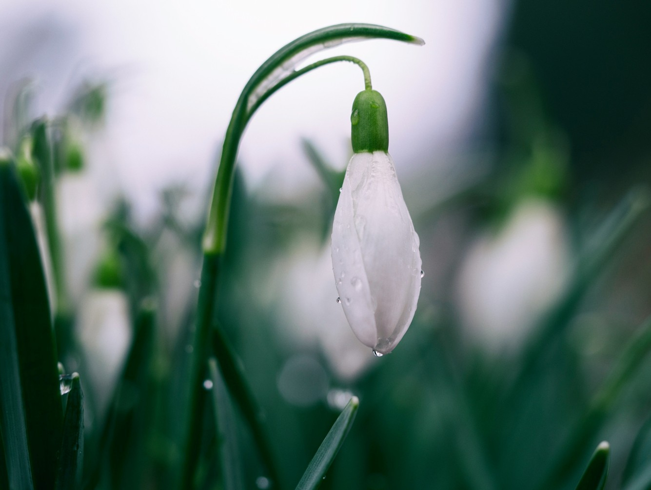 Oswego County Health Department Announces Spring 'Living Well' Series