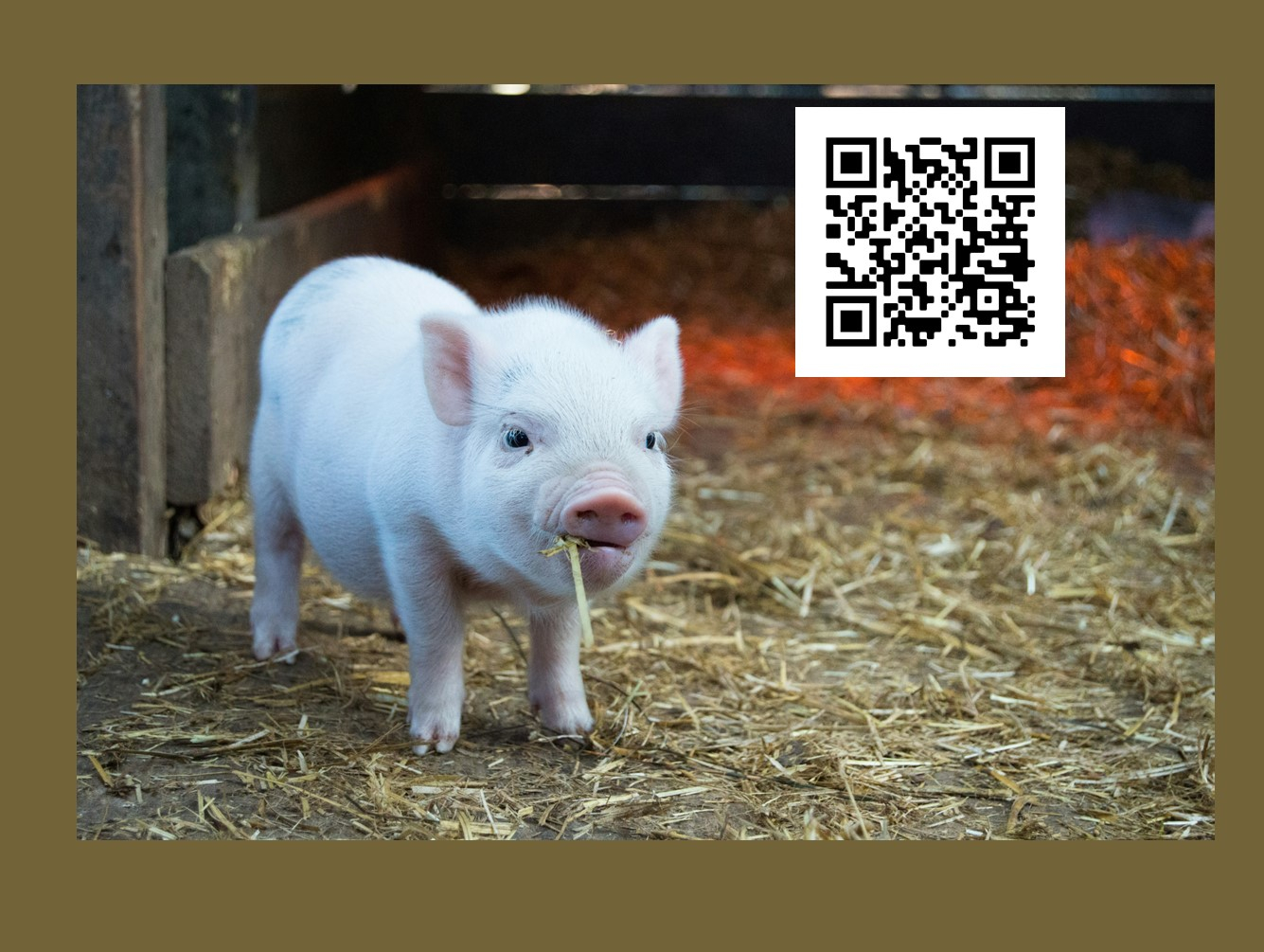 Farm Marketing Workshop Offered in May
