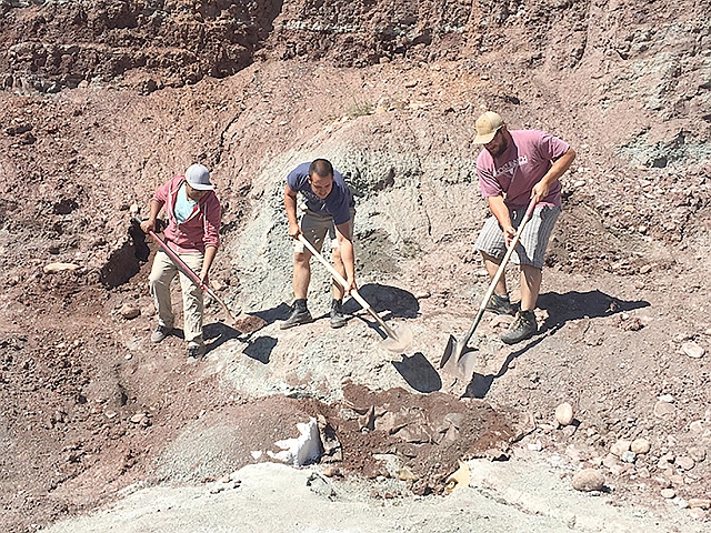 Fossil-Hunting SUNY Oswego Students Flourish in New Mexico Dig