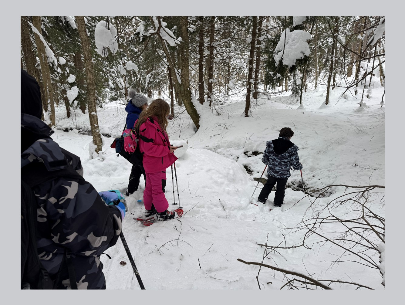Still Room in Winter Break Programs at the Amboy 4-H Environmental Education Center