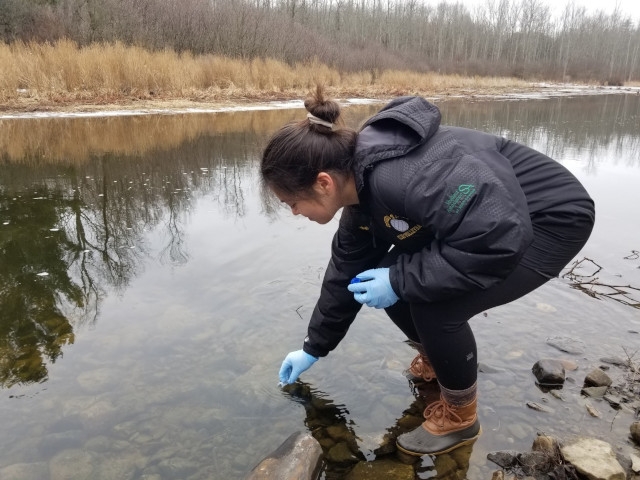 SUNY Oswego Professor’s Projects Support Great Lakes Ecosystem
