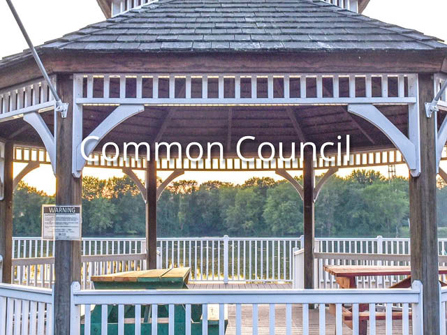 Fulton Common Council Sets Special Meeting for Cannabis Dispensary and Schedules 4 Public Hearings