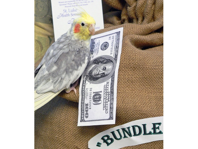 St. Luke’s “Bundle Of Bucks” Charity Raffle Early Bird Drawing Nears