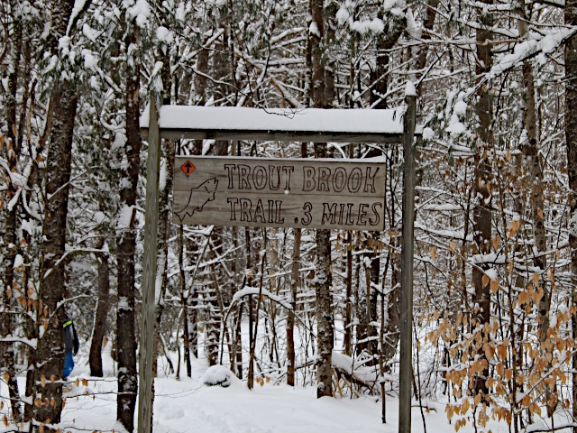 Public and Mid-Winter Break Programming at the Amboy 4-H Environmental Education Center