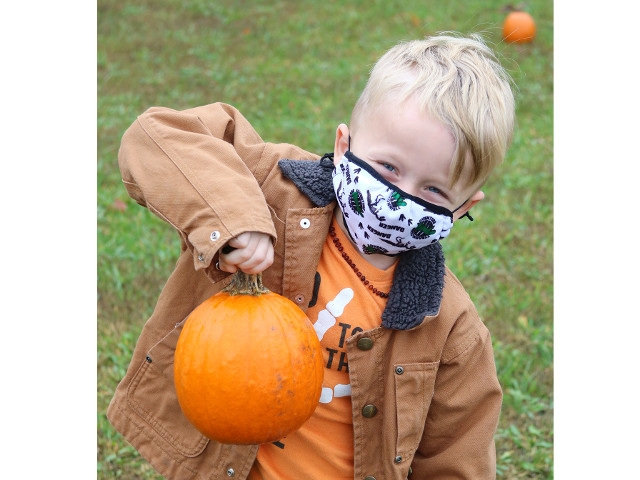 APW Elementary Brings Pumpkin Patch to School Grounds
