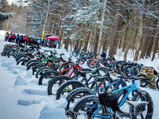 Celebrate ‘Festival of Flakes’ at Winona State Forest March 5 and 6