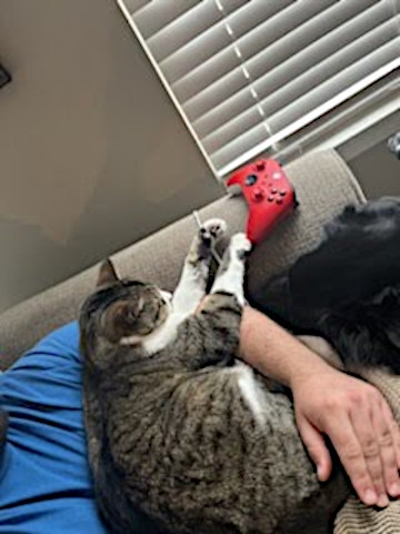 Adopt A Pet Today: Cosmo The Gamer