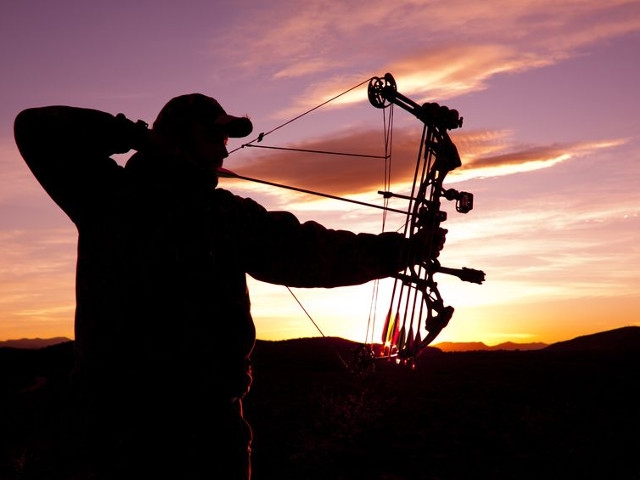 DEC Asks Bowhunters to Report Deer that May Have Died from EHD