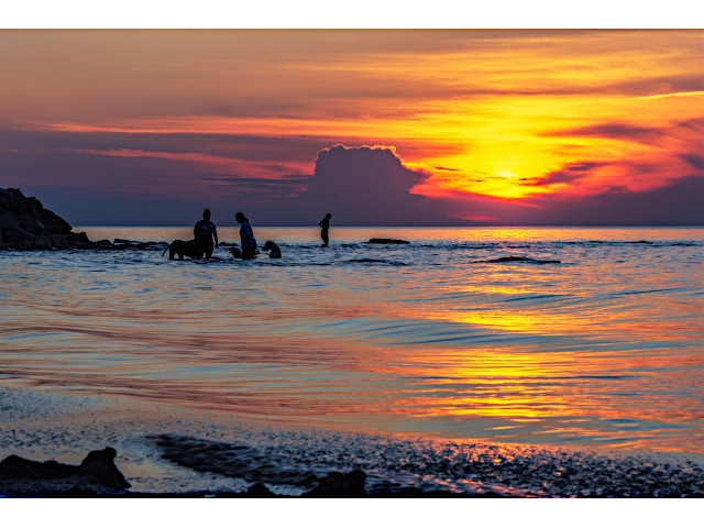 Contest to Design a Logo for Mexico Point Park