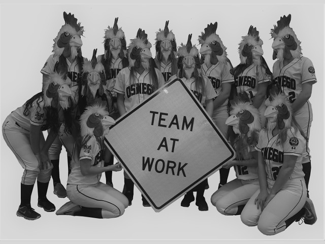 OHS Girl`s Softball Fundraiser Planned for April 9