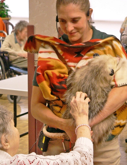 Rosamond Gifford Zoo Program visits St. Luke Health Services