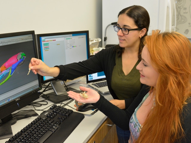 Grant Helps Student Researchers Gain Skills Studying Skulls of Ancient Animals