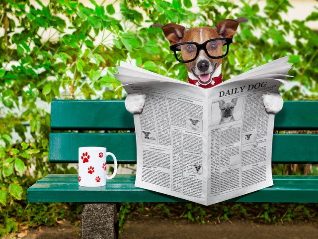 Mayor Barlow Announces Opening of City of Oswego Dog Park