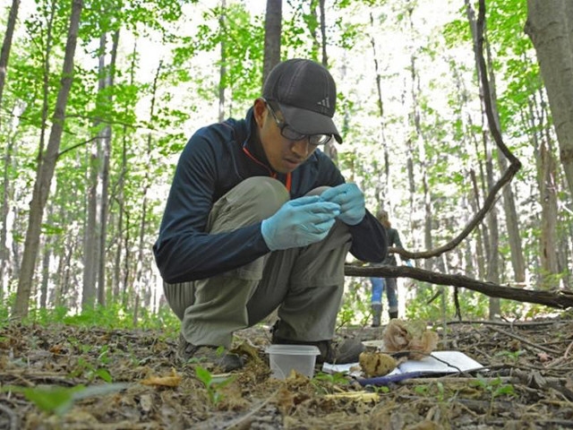 Fall to Bring Rambles, Storytelling and More to Rice Creek