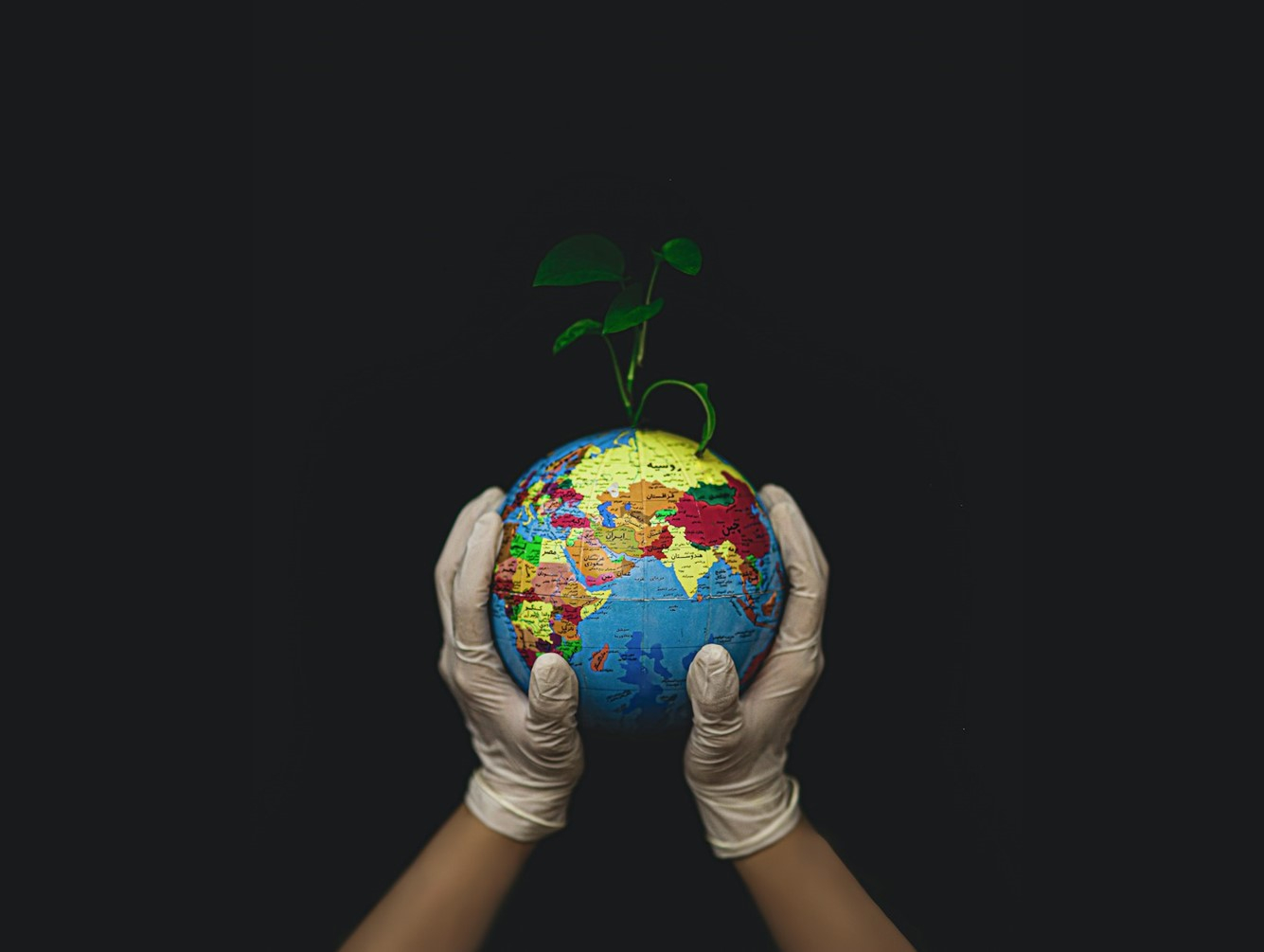 Celebrate Earth Day in Oswego County