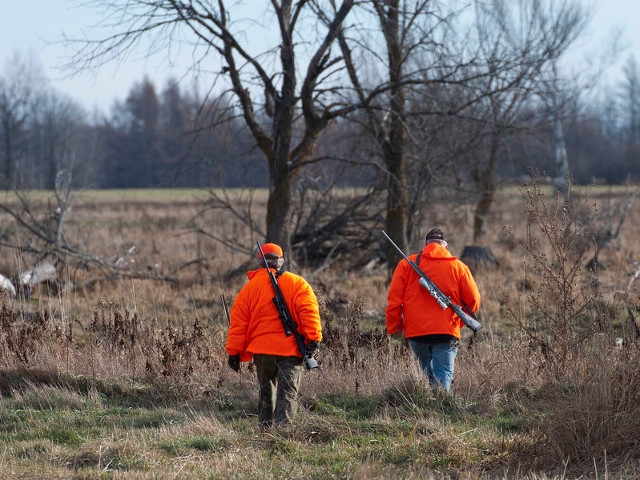 DEC Announces Falconry, Wildlife Rehabilitator, and Leashed Tracking Dog Examinations