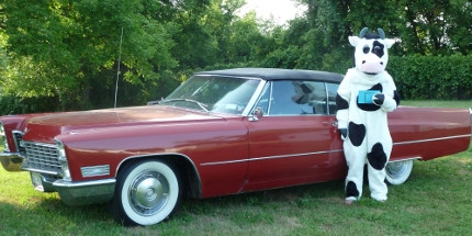 The Oswego Lions Club to hold eighth annual Cow Chip BINGO, Classic Car Show