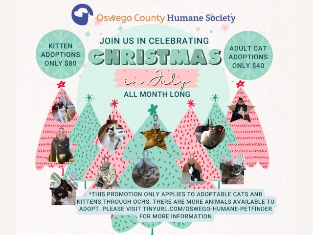 Oswego County Humane Society Celebrates Christmas in July