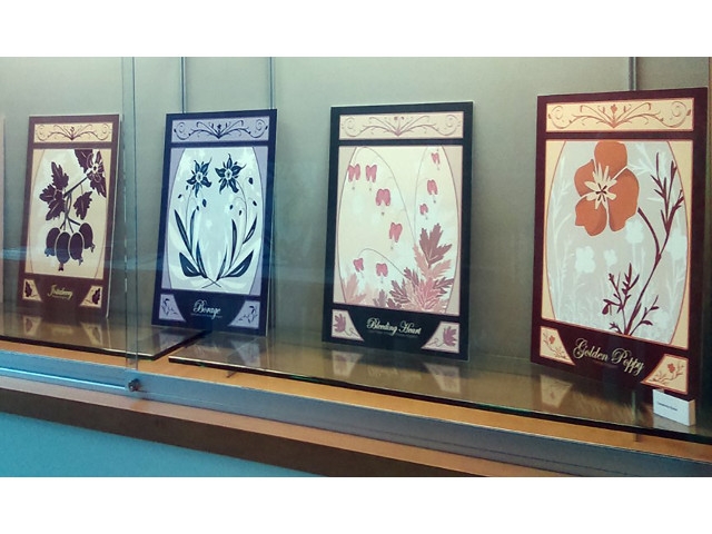 Summertime at Rice Creek Offers Exhibition, Trail Walks, More