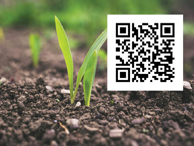 Soil Health Field Day Offered in June