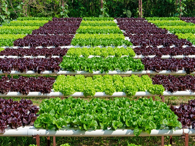"Facebook for Farmers” Workshop Scheduled for April 17th