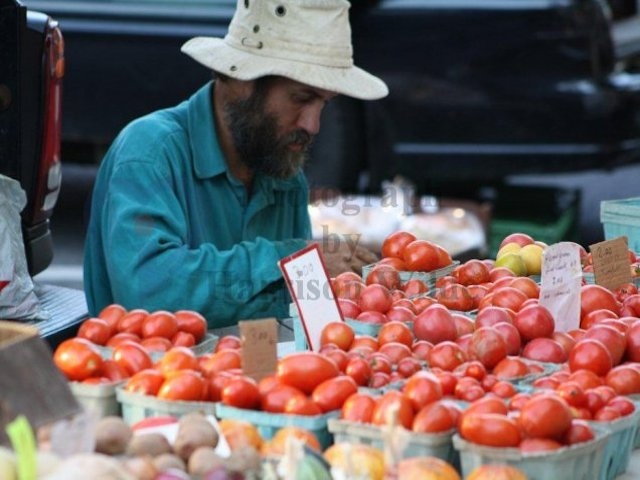 Oswego County Farm Bureau to Host Meeting for Farmers