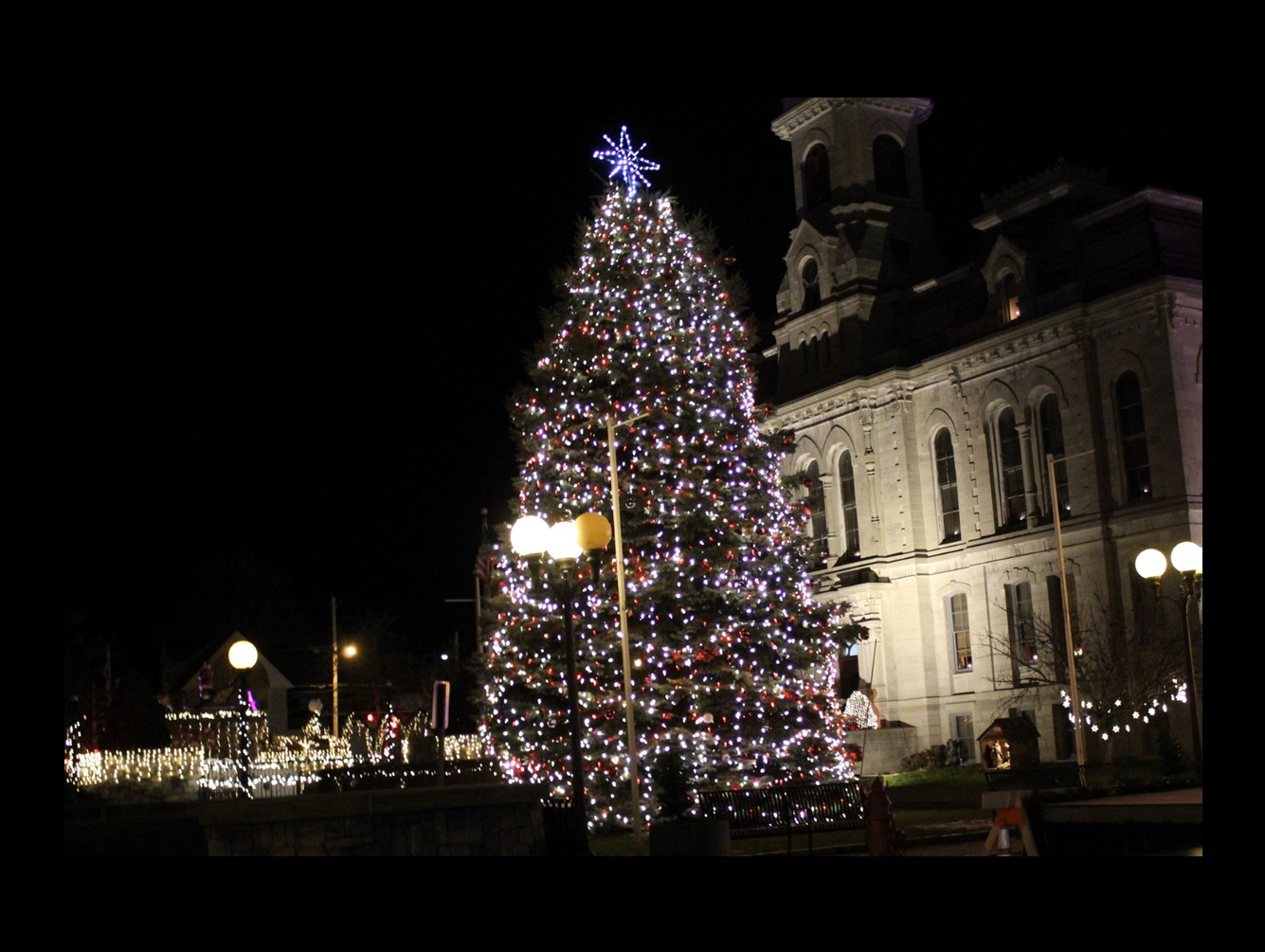 City of Oswego Tree Lighting Event 2024