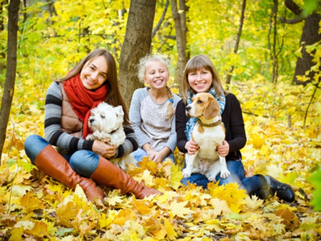 'Tales of the Trees' at Amboy 4-H Environmental Ed Center Nov 10th