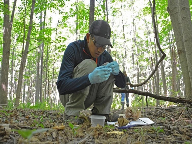 Rice Creek Reflections to Offer Info on Habitats May 2, June 27