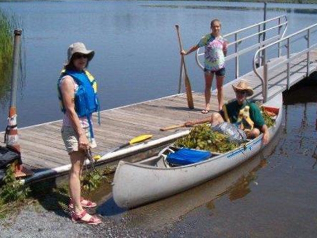 RSVP Teams Up with District Against Invasive Water Chestnut