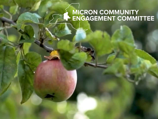 Micron Survey Open Now: Set Our Community Up for Success for Generations to Come
