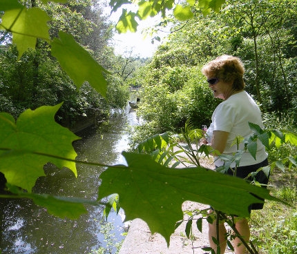 Recreational walkers sought for RSVP clubs in Oswego County