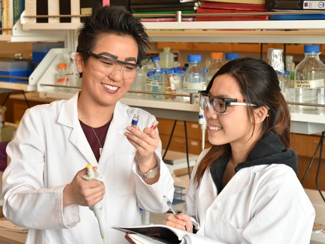Students Research Link for Stress, Spread of Mosquito-Borne Illnesses
