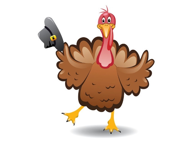 DEC Announces May 1 Opening of Turkey Hunting Seasons