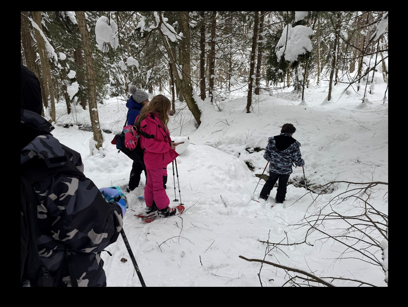 4-H Teens Participate in Snowshoe Program Sponsored by the Oswego County Prevention Coalition