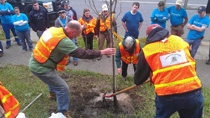 Phase I of Oswego Tree Canopy complete with 38 new trees
