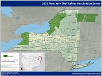Oswego County Participates in National Rabies Vaccine Distribution Program
