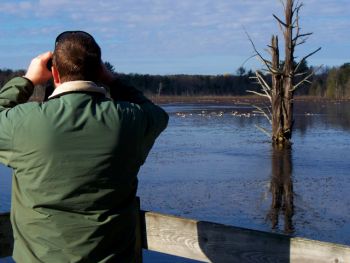 Participant on the overlook at the end of Beaver Marsh Trail – many waterfowl species can be spotted during the spring!